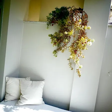 Calle Capirote Apartment *